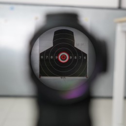 SPEC OPTICS SPS2-0 1x25 mm-Visier mit rotem und grünem Punkt, Schwarz